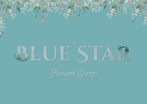 Blue StarのWebサイトデザイン